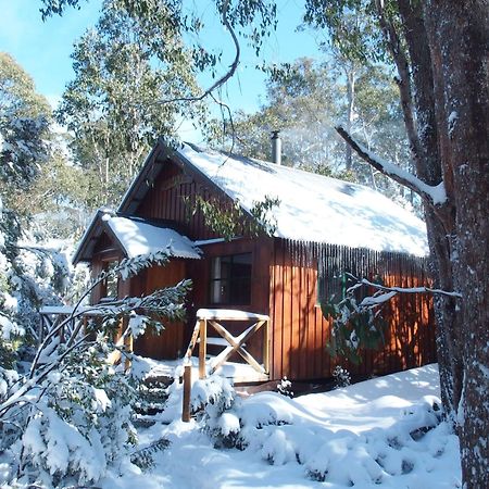 Villa Cradle Mountain Highlanders Exterior foto