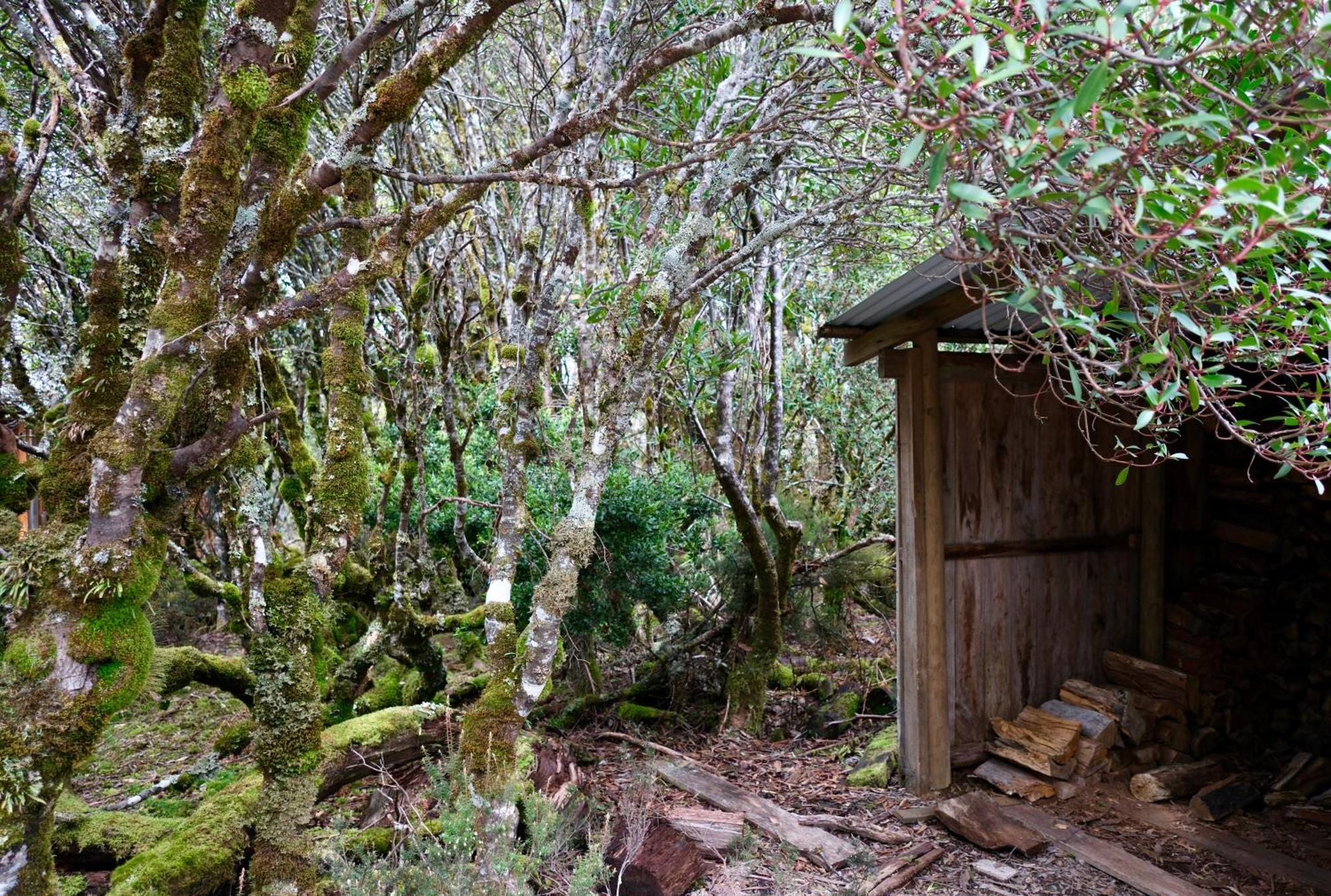 Villa Cradle Mountain Highlanders Exterior foto