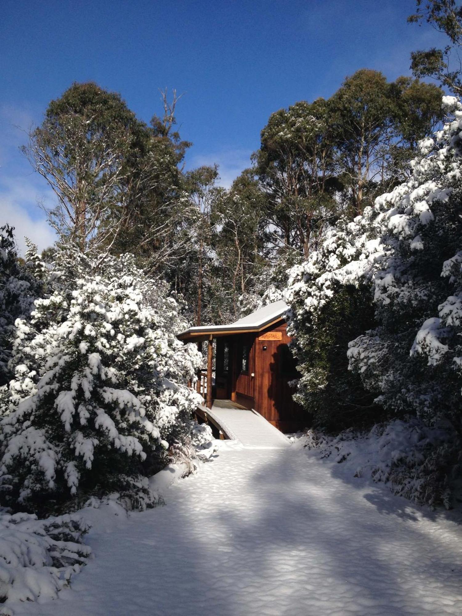 Villa Cradle Mountain Highlanders Exterior foto